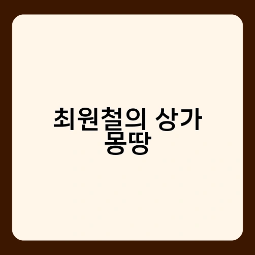 최원철의 상가 몽땅 3