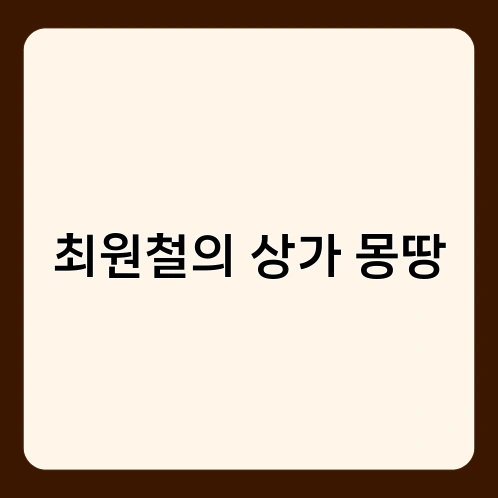 최원철의 상가 몽땅 2