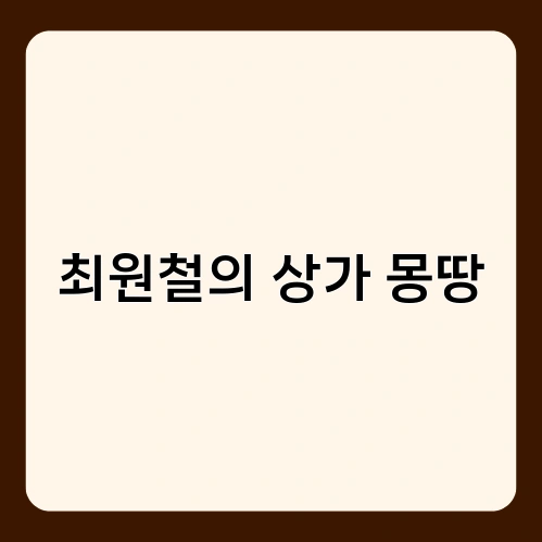 최원철의 상가 몽땅