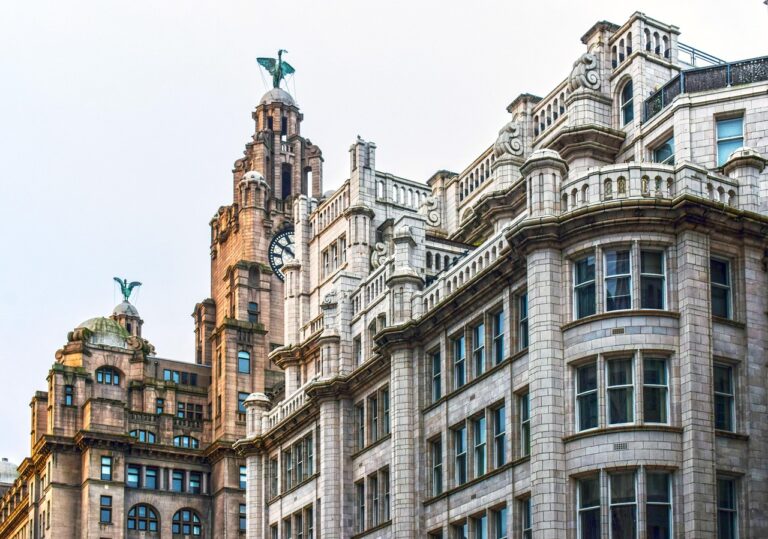 상가투자 대출 규제 확인 방법